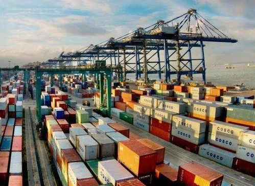 外贸人必备知识 关于集装箱重量验证VGM，你了解多少？